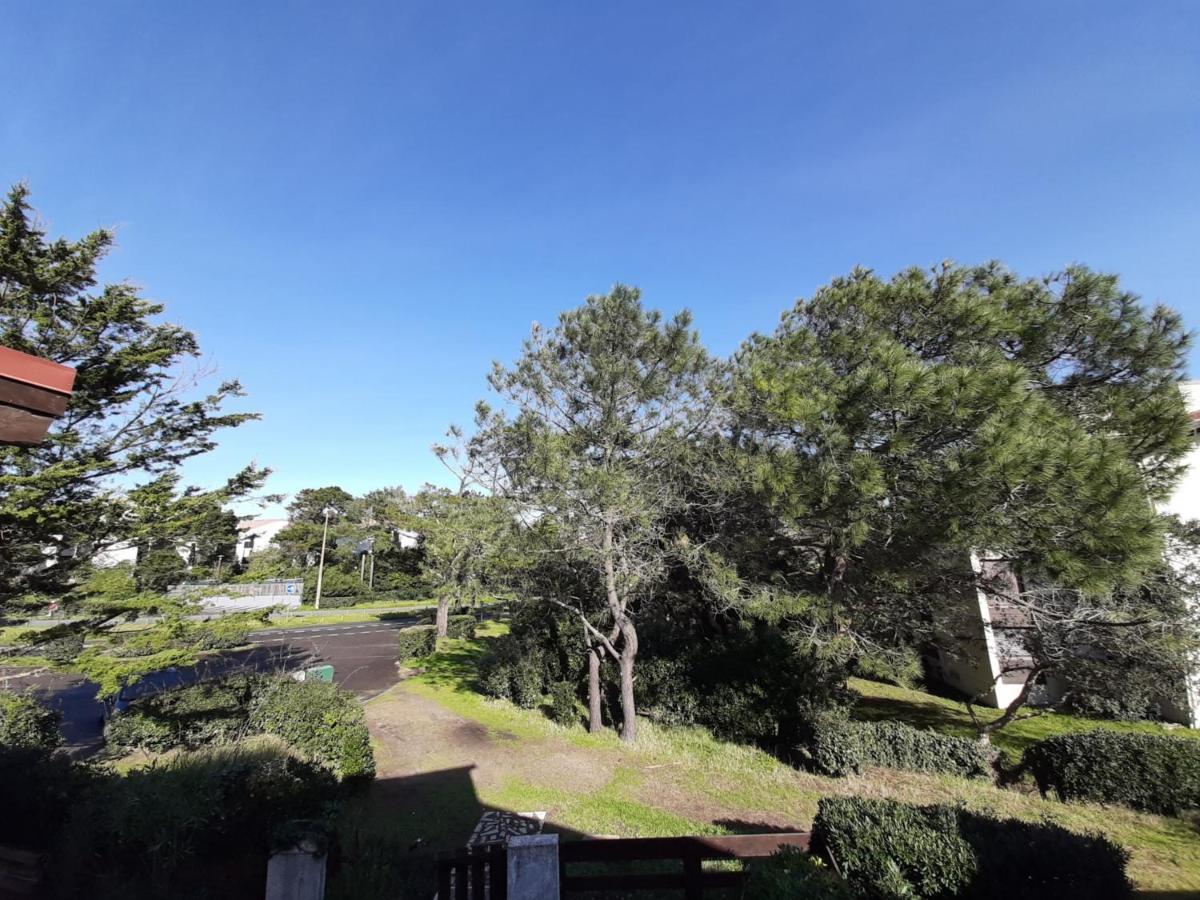 Maison Renovee Avec Terrasse A 700M Des Plages, Marche Et Activites - Tennis Et Piste Cyclable A 10M - Fr-1-239-385 Seignosse Eksteriør billede
