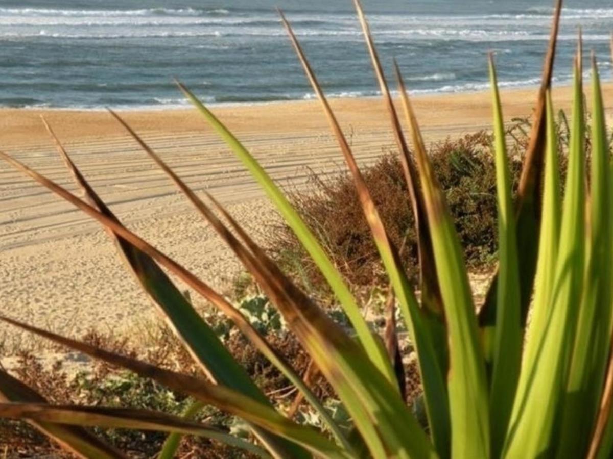 Maison Renovee Avec Terrasse A 700M Des Plages, Marche Et Activites - Tennis Et Piste Cyclable A 10M - Fr-1-239-385 Seignosse Eksteriør billede