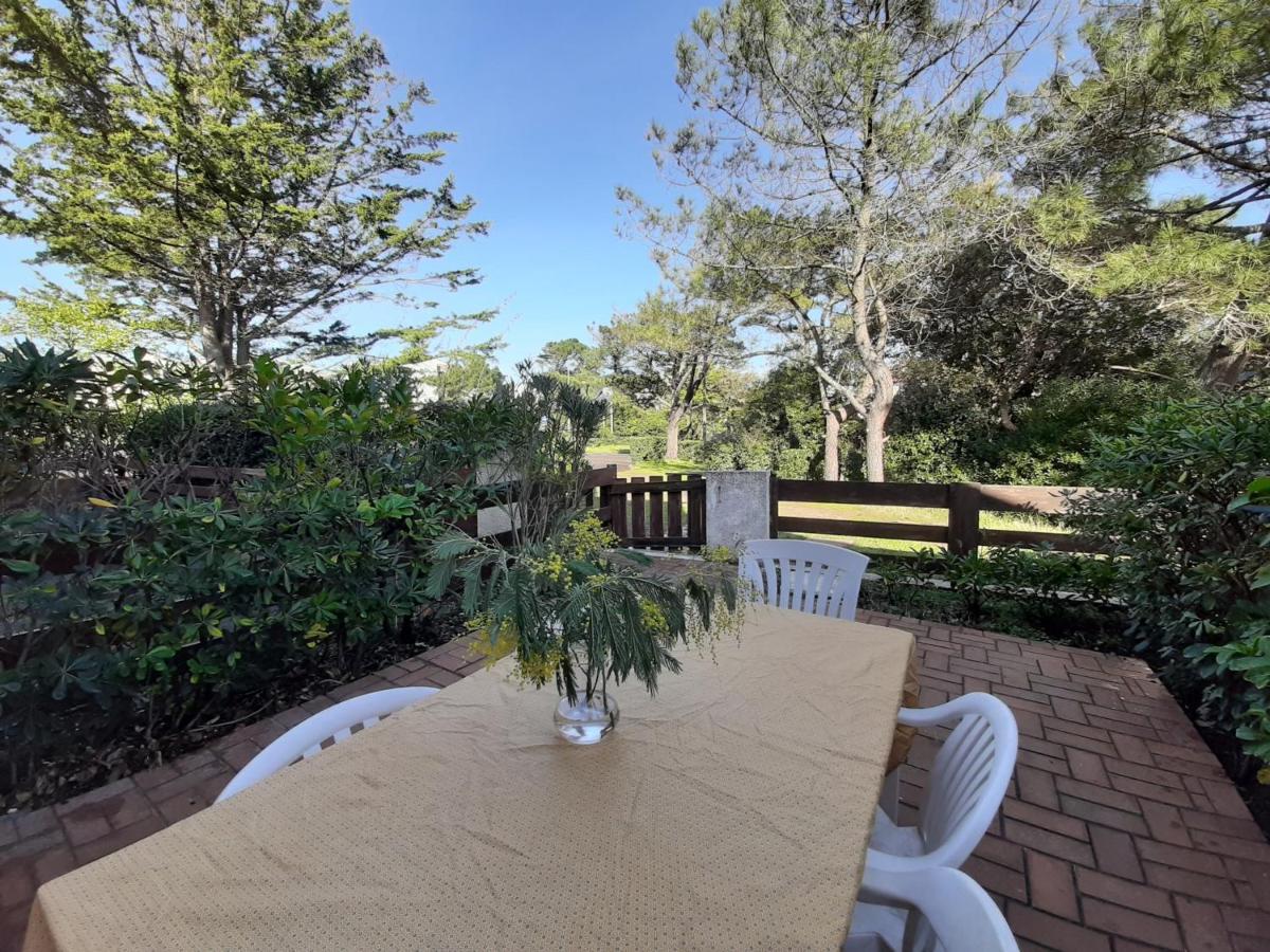 Maison Renovee Avec Terrasse A 700M Des Plages, Marche Et Activites - Tennis Et Piste Cyclable A 10M - Fr-1-239-385 Seignosse Eksteriør billede